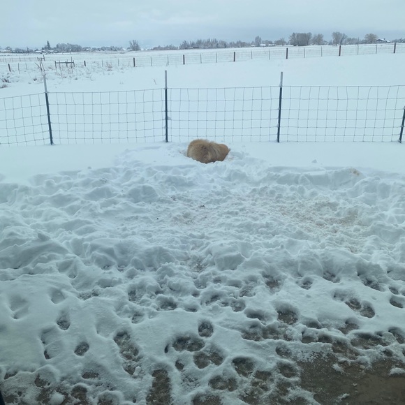 Meet your Posher, Michael - Picture 1 of 1